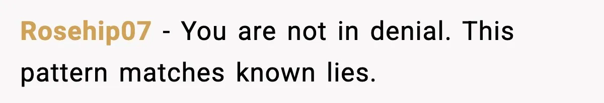 Rosehip07 - You are not in denial. This pattern matches known lies.