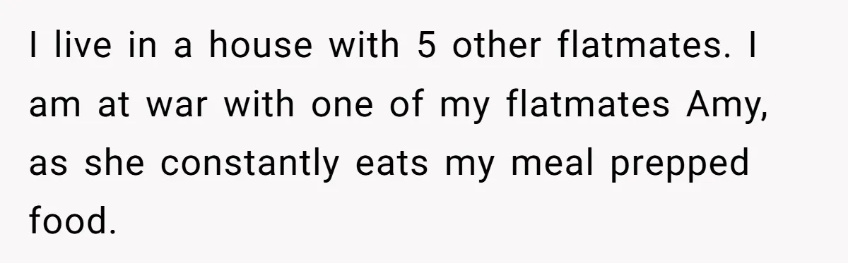 I live in a house with 5 other flatmates. I am at war with one of my flatmates Amy, as she constantly eats my meal prepped food.