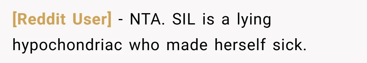[Reddit User] − NTA. SIL is a lying hypochondriac who made herself sick.