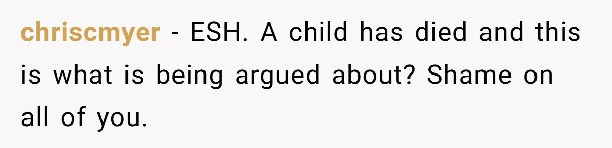 chriscmyer − ESH. A child has died and this is what is being argued about? Shame on all of you.