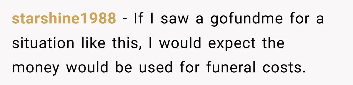 starshine1988 − If I saw a gofundme for a situation like this, I would expect the money would be used for funeral costs.