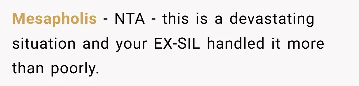 Mesapholis − NTA - this is a devastating situation and your EX-SIL handled it more than poorly.