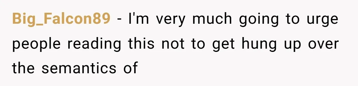 Big_Falcon89 − I'm very much going to urge people reading this not to get hung up over the semantics of