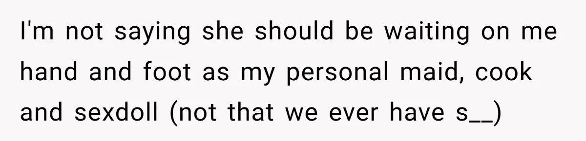 I'm not saying she should be waiting on me hand and foot as my personal maid, cook and sexdoll (not that we ever have s__)
