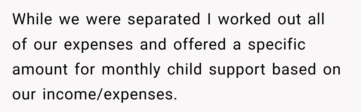 While we were separated I worked out all of our expenses and offered a specific amount for monthly child support based on our income/expenses.