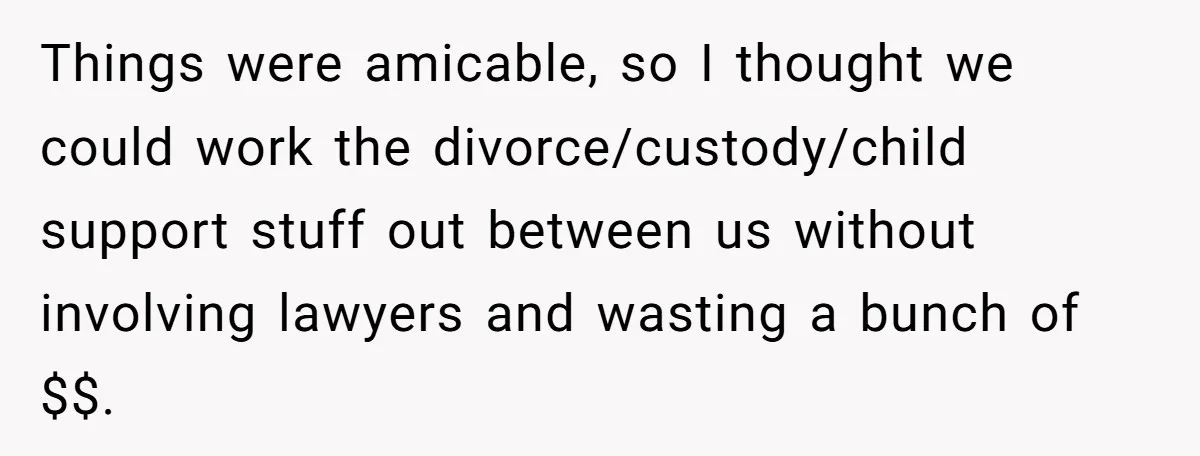 Things were amicable, so I thought we could work the divorce/custody/child support stuff out between us without involving lawyers and wasting a bunch of $$.