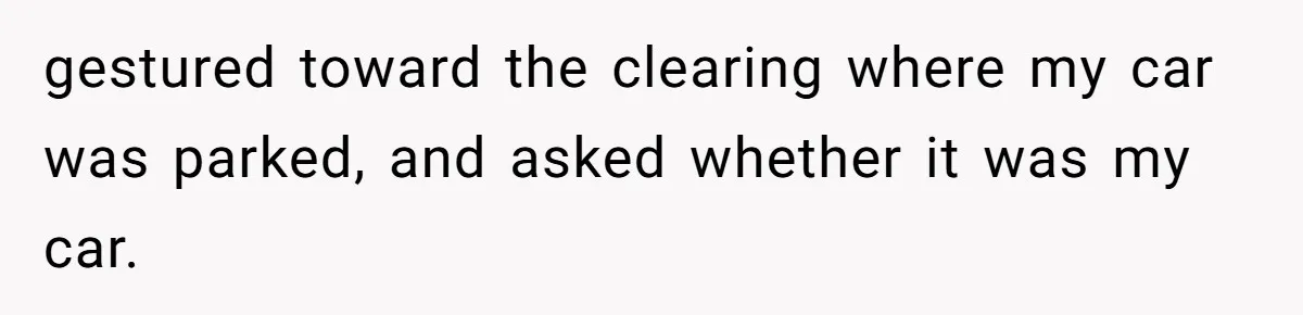 gestured toward the clearing where my car was parked, and asked whether it was my car.