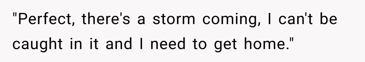 "Perfect, there's a storm coming, I can't be caught in it and I need to get home."