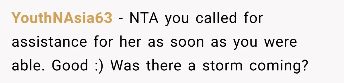 YouthNAsia63 − NTA you called for assistance for her as soon as you were able. Good :) Was there a storm coming?