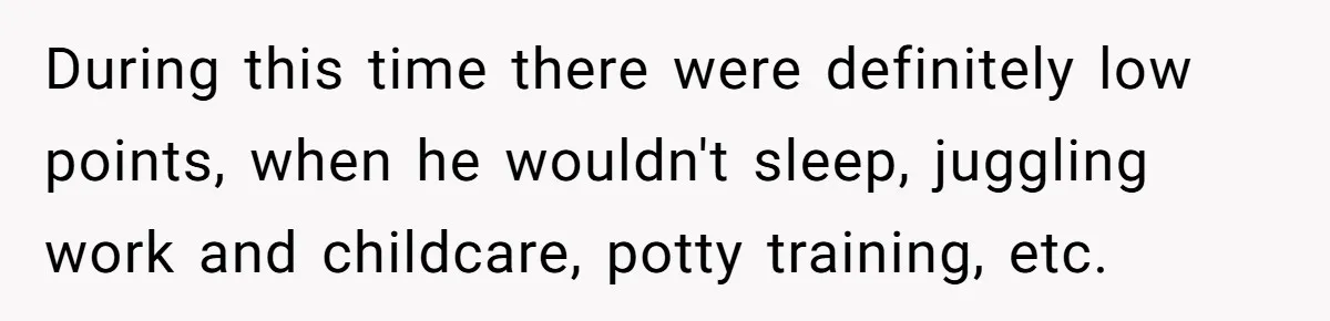 During this time there were definitely low points, when he wouldn't sleep, juggling work and childcare, potty training, etc.