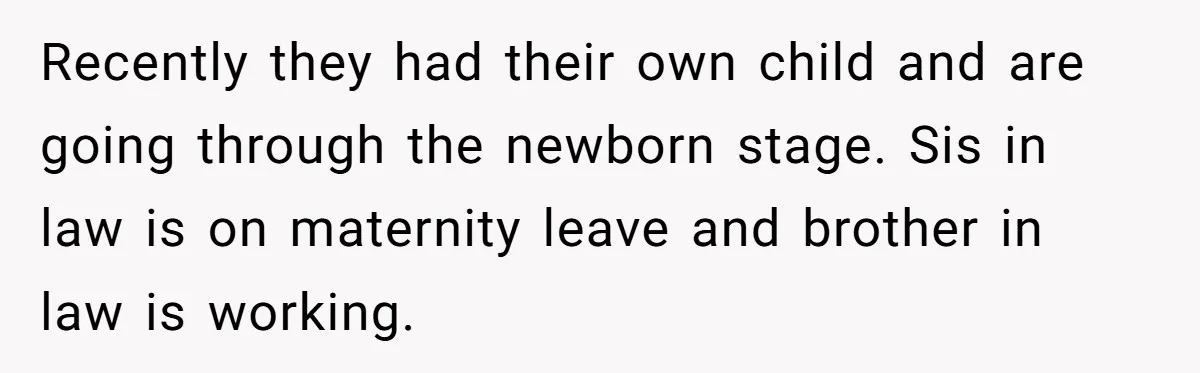 Recently they had their own child and are going through the newborn stage. Sis in law is on maternity leave and brother in law is working.