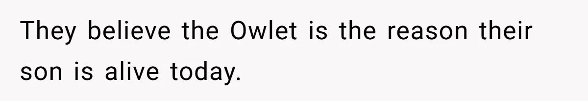 They believe the Owlet is the reason their son is alive today.