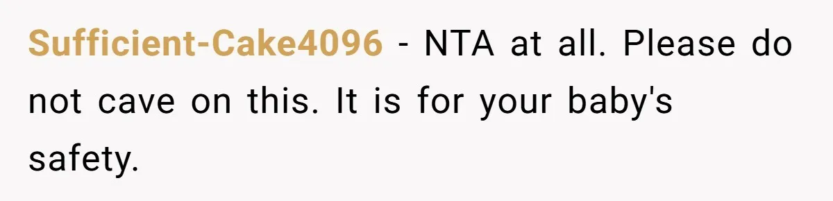 Sufficient-Cake4096 − NTA at all. Please do not cave on this. It is for your baby's safety.