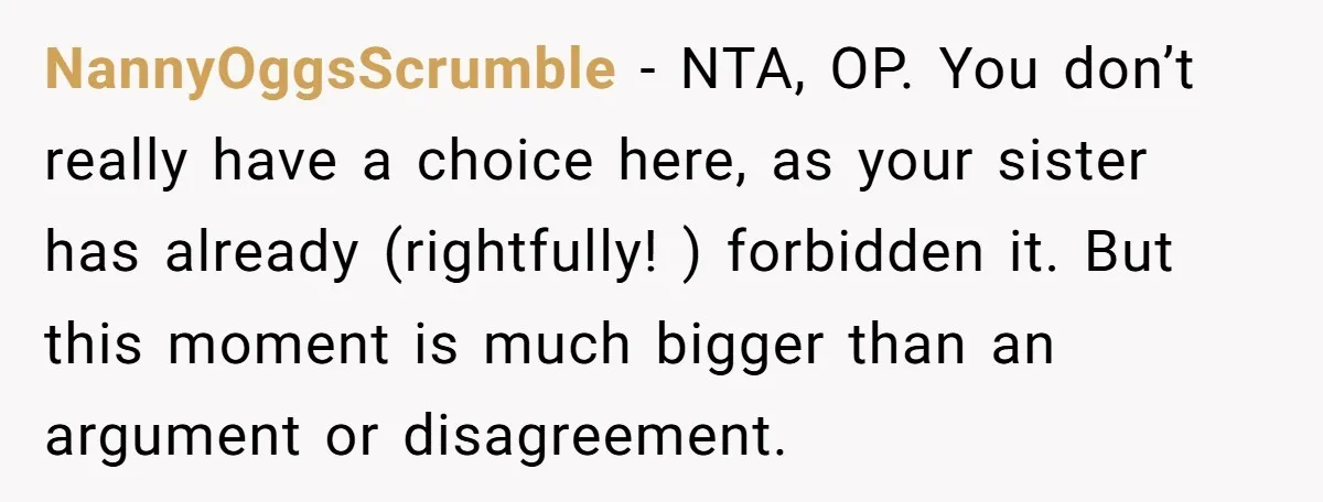 NannyOggsScrumble − NTA, OP. You don’t really have a choice here, as your sister has already (rightfully! ) forbidden it. But this moment is much bigger than an argument or...