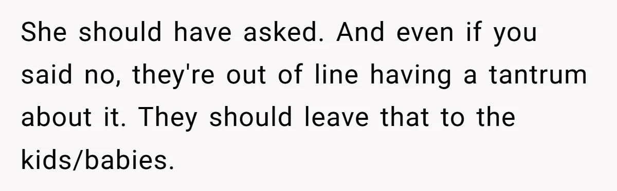 She should have asked. And even if you said no, they're out of line having a tantrum about it. They should leave that to the kids/babies.