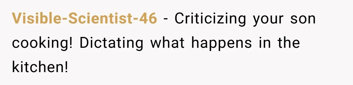 Visible-Scientist-46 − Criticizing your son cooking! Dictating what happens in the kitchen!