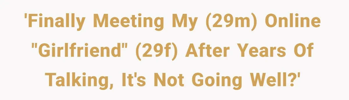 'Finally meeting my (29m) online "girlfriend" (29f) after years of talking, it's not going well?'