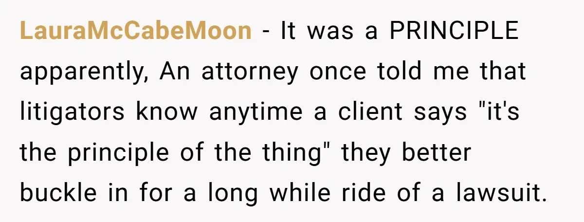 LauraMcCabeMoon − It was a PRINCIPLE apparently, An attorney once told me that litigators know anytime a client says "it's the principle of the thing" they better buckle in for...