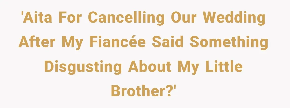 'AITA for cancelling our wedding after my fiancée said something disgusting about my little brother?'