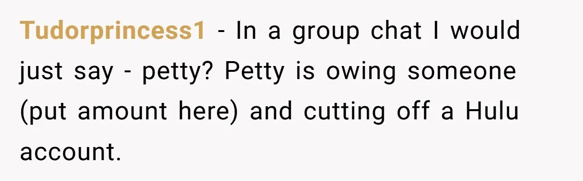 Broke College Student Helps Cousin Financially Only To Get Called Petty After Losing Streaming Access Tudorprincess1 − In a group chat I would just say - petty? Petty is owing someone (put amount here) and cutting off a Hulu account.