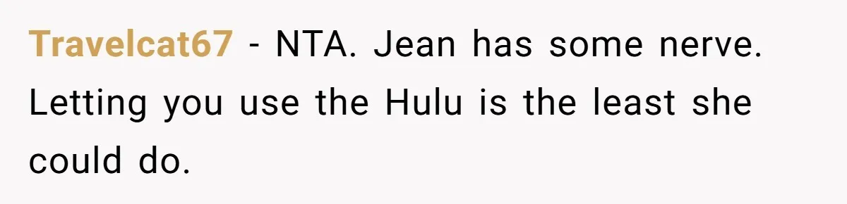 Broke College Student Helps Cousin Financially Only To Get Called Petty After Losing Streaming Access Travelcat67 − NTA. Jean has some nerve. Letting you use the Hulu is the least she could do.