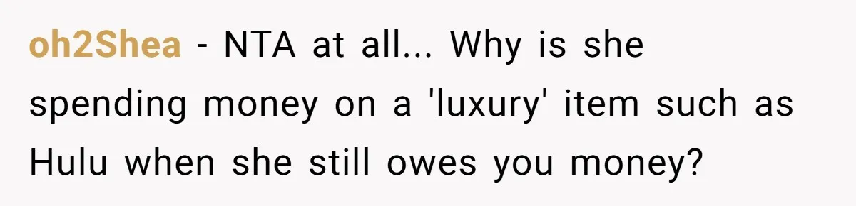 Broke College Student Helps Cousin Financially Only To Get Called Petty After Losing Streaming Access oh2Shea − NTA at all... Why is she spending money on a 'luxury' item such as Hulu when she still owes you money?