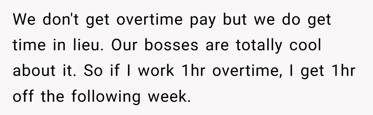 Corporate Event Company Overbooks Thousands in Equipment After Software Glitch - Software Firm Forced to Foot the Bill We don't get overtime pay but we do get time in lieu. Our bosses are totally cool about it. So if I work 1hr overtime, I get 1hr off the...