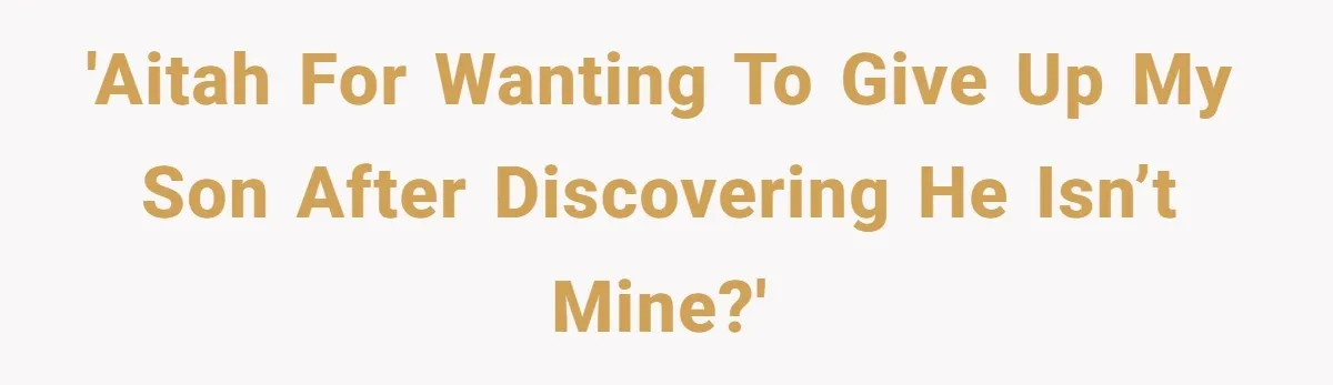 'AITAH for wanting to give up my son after discovering he isn’t mine?'