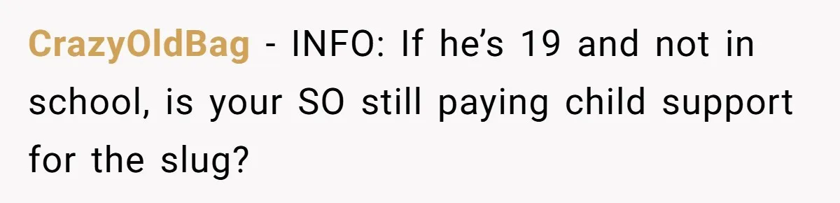 CrazyOldBag − INFO: If he’s 19 and not in school, is your SO still paying child support for the slug?
