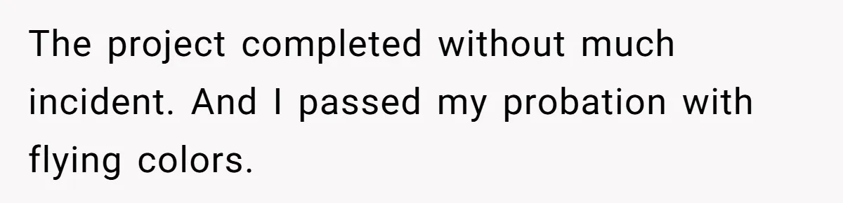 The project completed without much incident. And I passed my probation with flying colors.