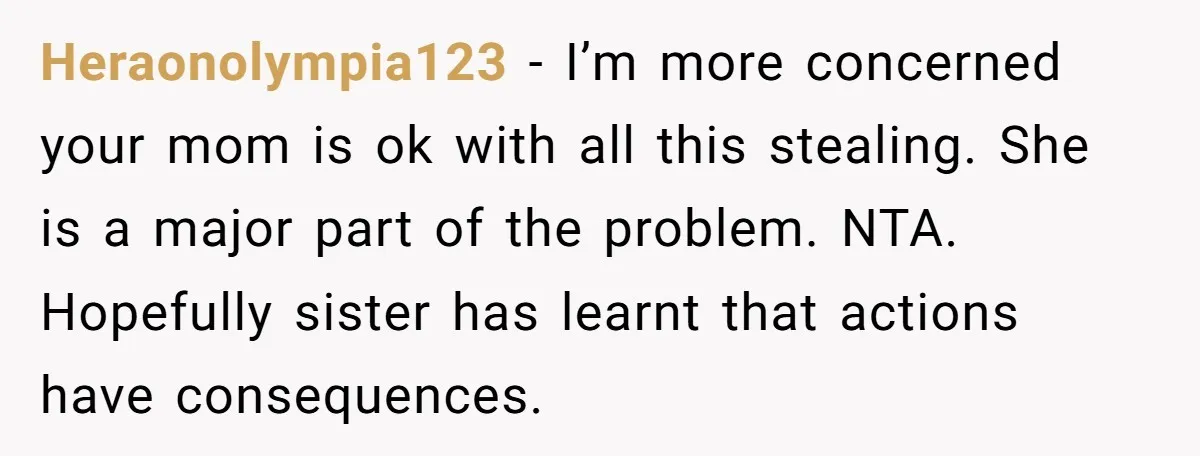 Heraonolympia123 − I’m more concerned your mom is ok with all this stealing. She is a major part of the problem. NTA. Hopefully sister has learnt that actions have consequences.