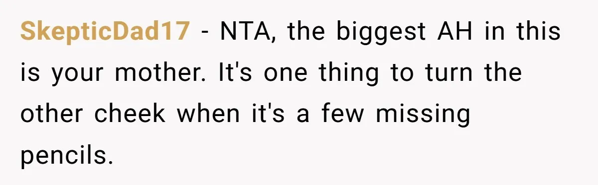 SkepticDad17 − NTA, the biggest AH in this is your mother. It's one thing to turn the other cheek when it's a few missing pencils.