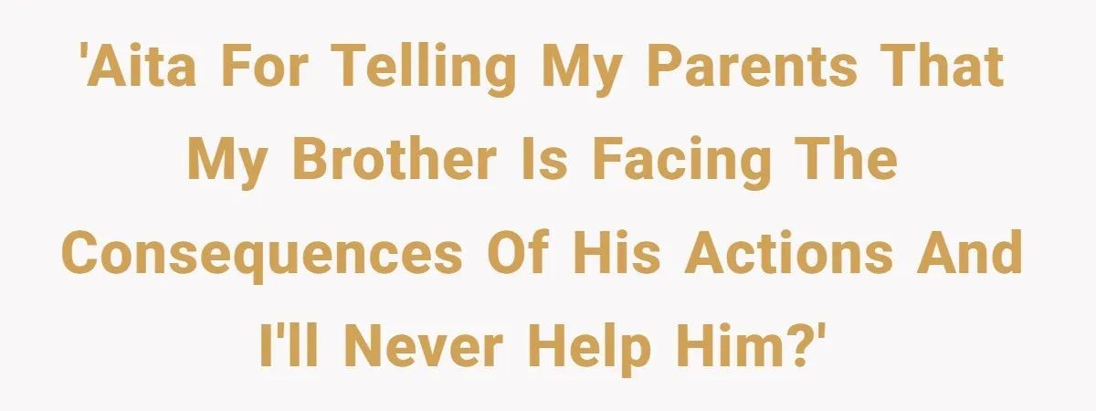 'AITA for telling my parents that my brother is facing the consequences of his actions and I'll never help him?'