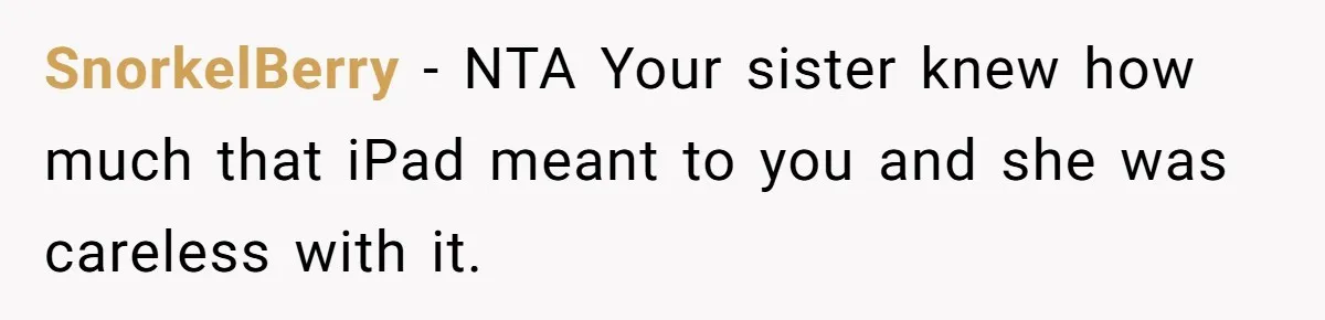 SnorkelBerry − NTA Your sister knew how much that iPad meant to you and she was careless with it.