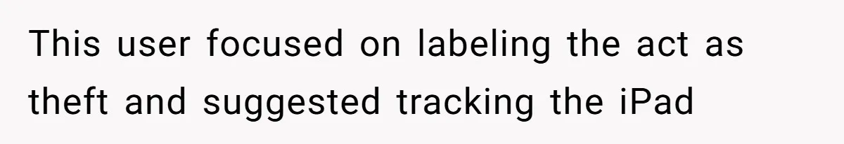 This user focused on labeling the act as theft and suggested tracking the iPad