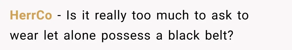 HerrCo − Is it really too much to ask to wear let alone possess a black belt?