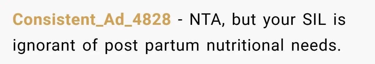 Consistent_Ad_4828 − NTA, but your SIL is ignorant of post partum nutritional needs.