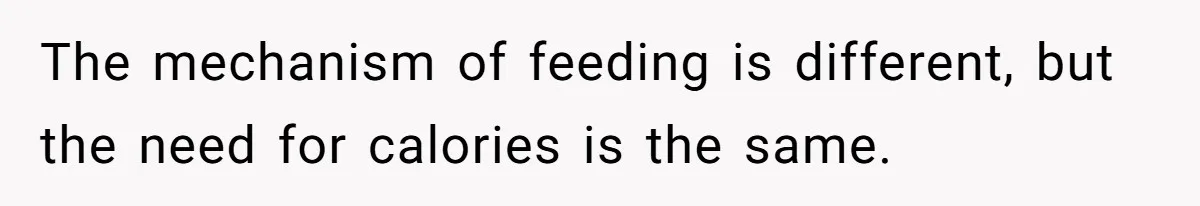 The mechanism of feeding is different, but the need for calories is the same.