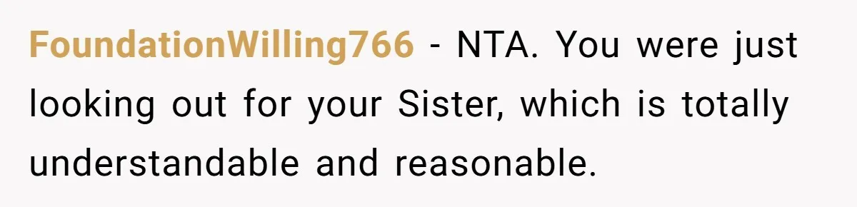 FoundationWilling766 − NTA. You were just looking out for your Sister, which is totally understandable and reasonable.
