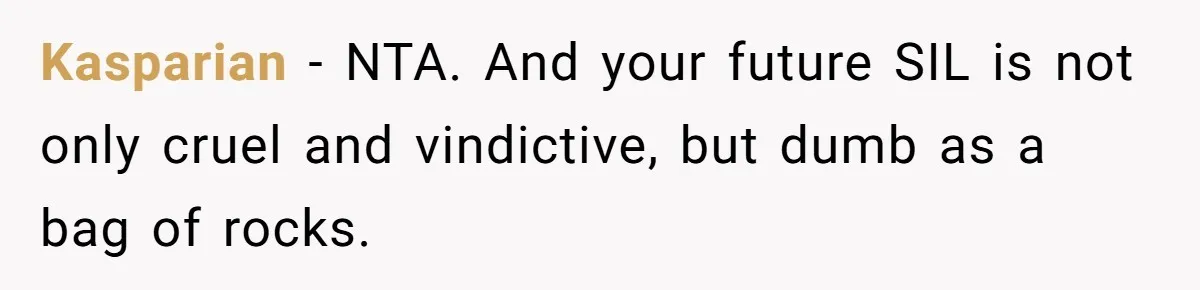 Kasparian − NTA. And your future SIL is not only cruel and vindictive, but dumb as a bag of rocks.