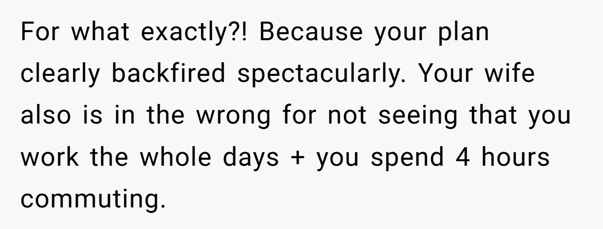 For what exactly?! Because your plan clearly backfired spectacularly. Your wife also is in the wrong for not seeing that you work the whole days + you spend 4 hours...