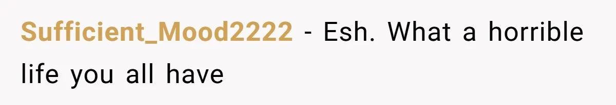 Sufficient_Mood2222 − Esh. What a horrible life you all have