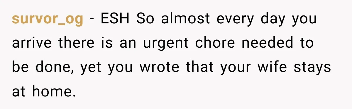 survor_og − ESH So almost every day you arrive there is an urgent chore needed to be done, yet you wrote that your wife stays at home.