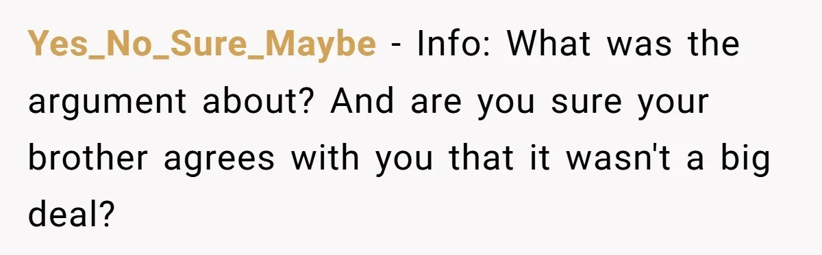 Yes_No_Sure_Maybe − Info: What was the argument about? And are you sure your brother agrees with you that it wasn't a big deal?