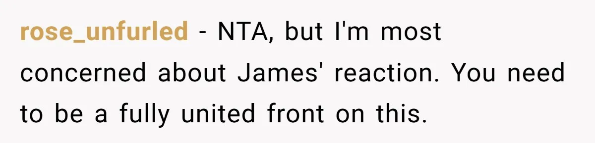 rose_unfurled − NTA, but I'm most concerned about James' reaction. You need to be a fully united front on this.