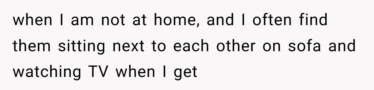 when I am not at home, and I often find them sitting next to each other on sofa and watching TV when I get