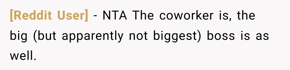 [Reddit User] − NTA The coworker is, the big (but apparently not biggest) boss is as well.