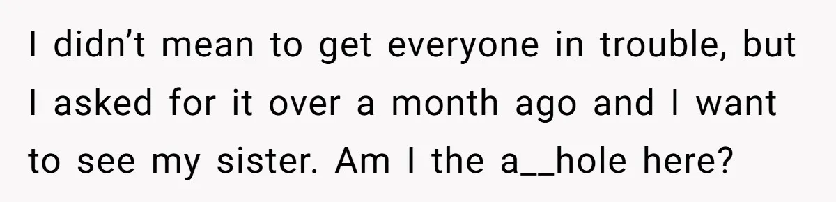 I didn’t mean to get everyone in trouble, but I asked for it over a month ago and I want to see my sister. Am I the a__hole here?