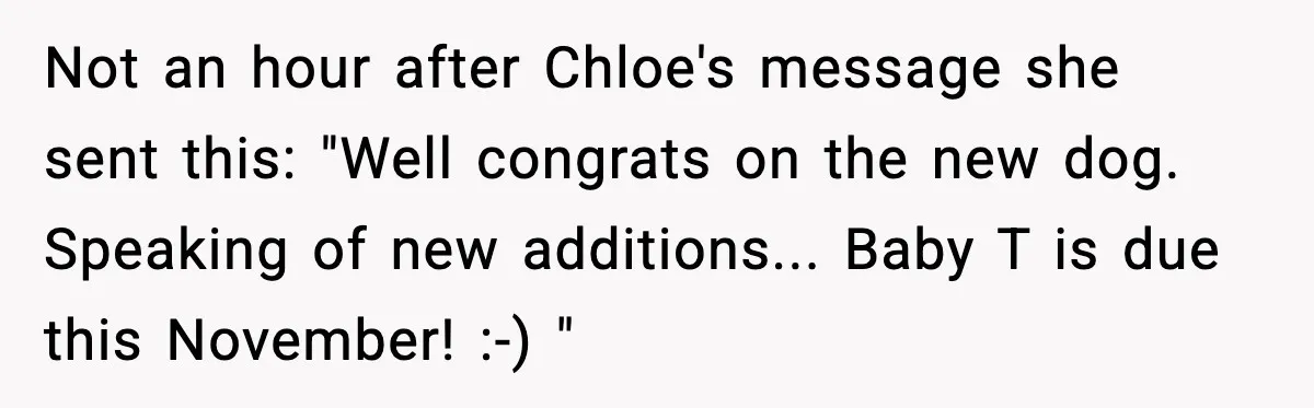Not an hour after Chloe's message she sent this: "Well congrats on the new dog. Speaking of new additions... Baby T is due this November! :-) "