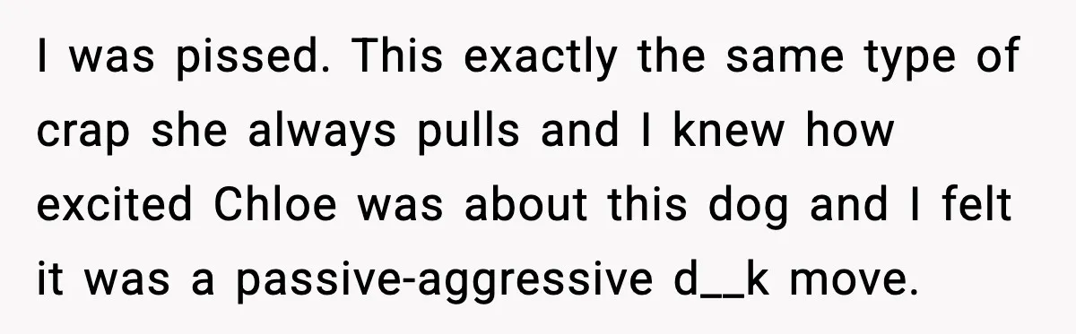 I was pissed. This exactly the same type of crap she always pulls and I knew how excited Chloe was about this dog and I felt it was a passive-aggressive...